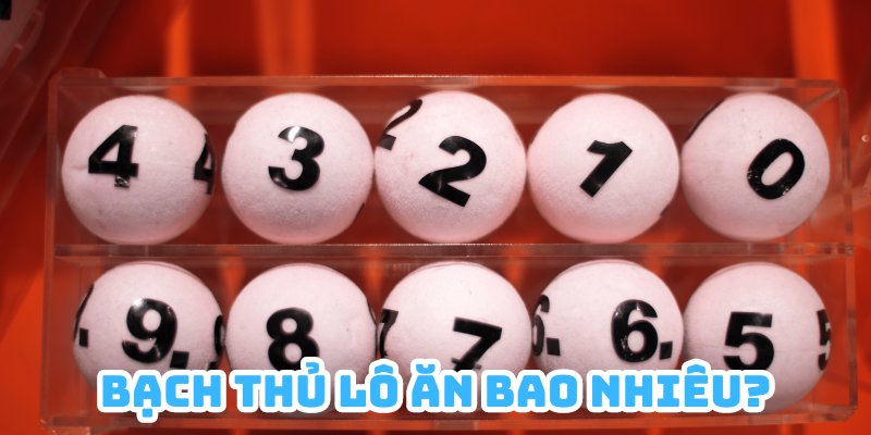 Nếu đã biết bạch thủ lô là gì chắc chắn bạn không nên bỏ qua tỷ lệ thưởng của nó