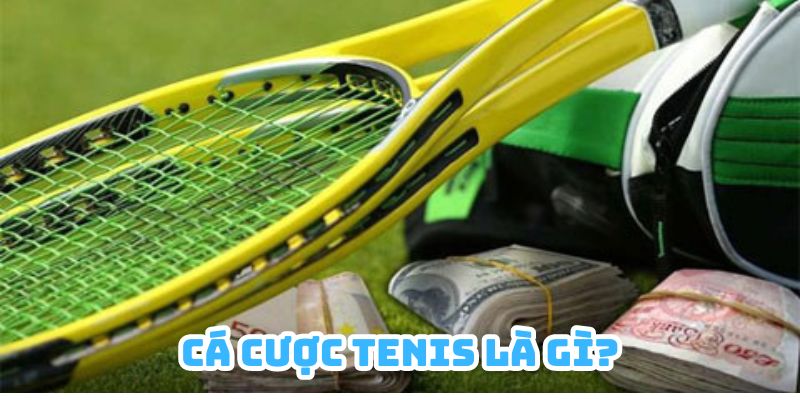 Cá cược tenis là bộ môn được nhiều bet thủ yêu thích